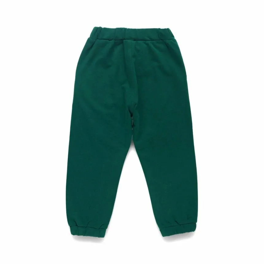 Спортивные брюки, сшитые по индивидуальному заказу Branshes, 68_Dark Green — фото 3