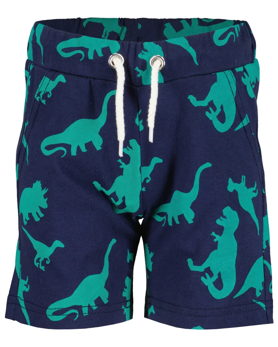 

Синие спортивные шорты Seven "kl Kn Shorts" Blue Seven, цвет Dino Orig