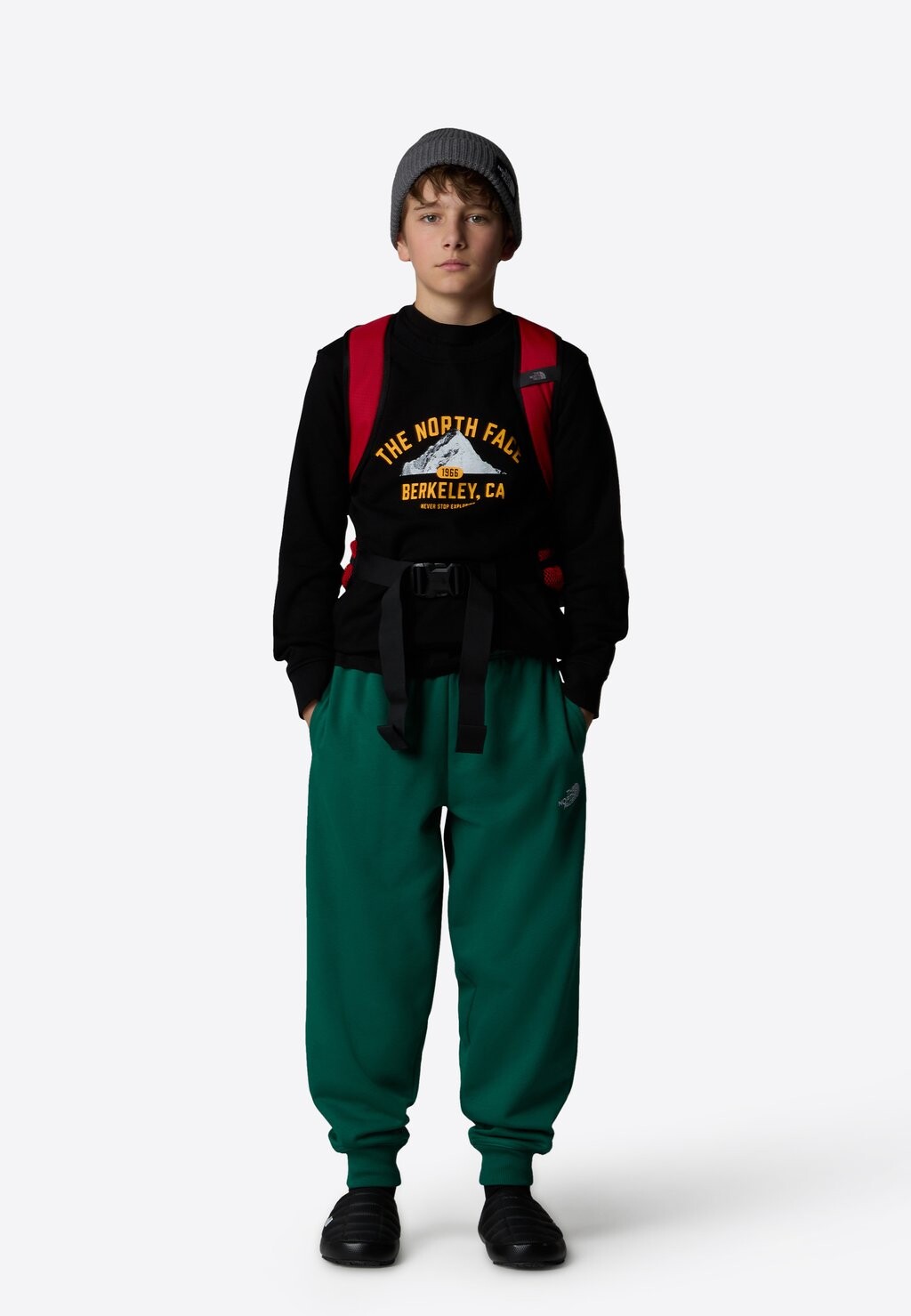 

Толстовка VARSITY GRAPHIC The North Face, черный