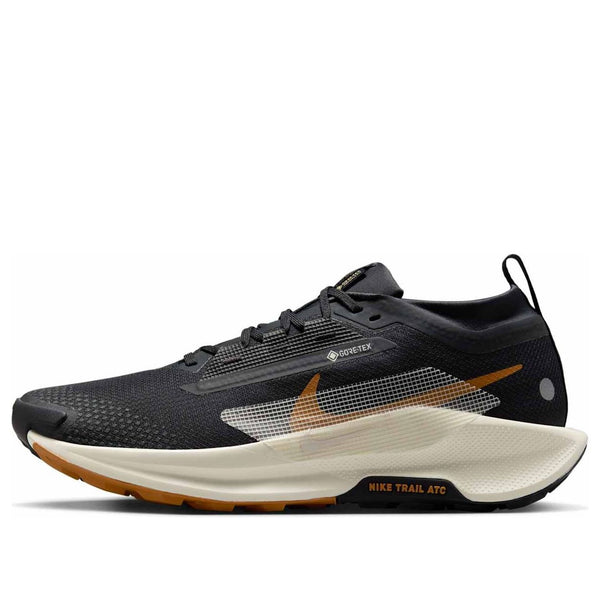 

Кроссовки pegasus trail 5 gore-tex 'off noir black monarch pale ivory' Nike, мультиколор