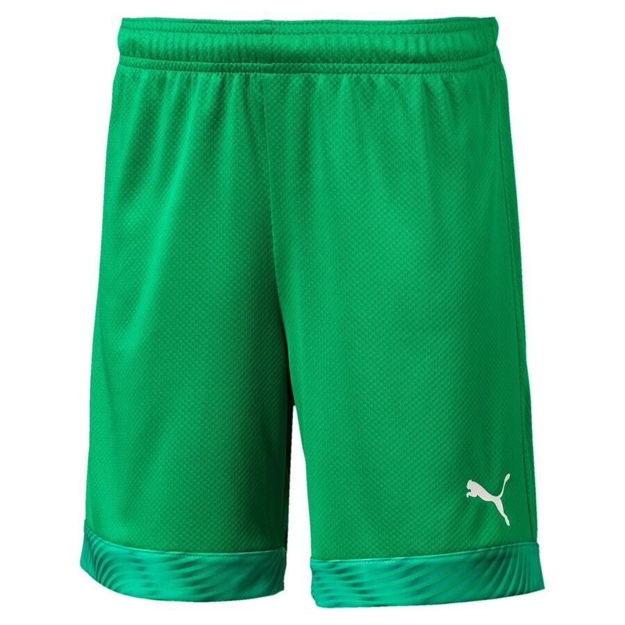 

Детские шорты Puma Short Cup Jr 704035