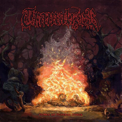 

Виниловая пластинка Tramalizer: FUMES OF FUNERAL PYRES