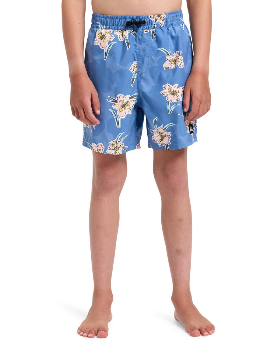 

QUIKSILVER Плавки-шорты EVERYDAY STRAIGHT VOLLEY 14" Blue Boy