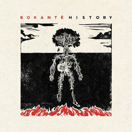 

CD диск Bokante: History