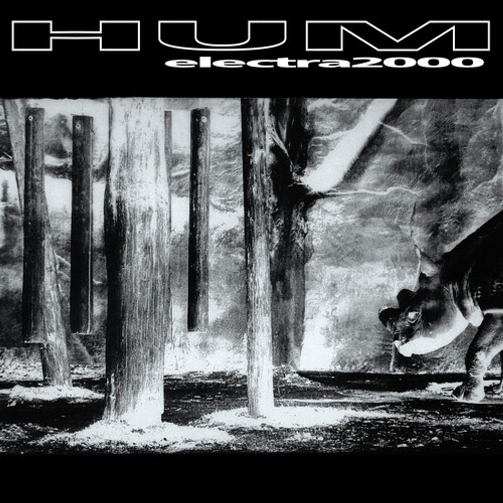 

Виниловая пластинка LP Electra 2000 - Hum