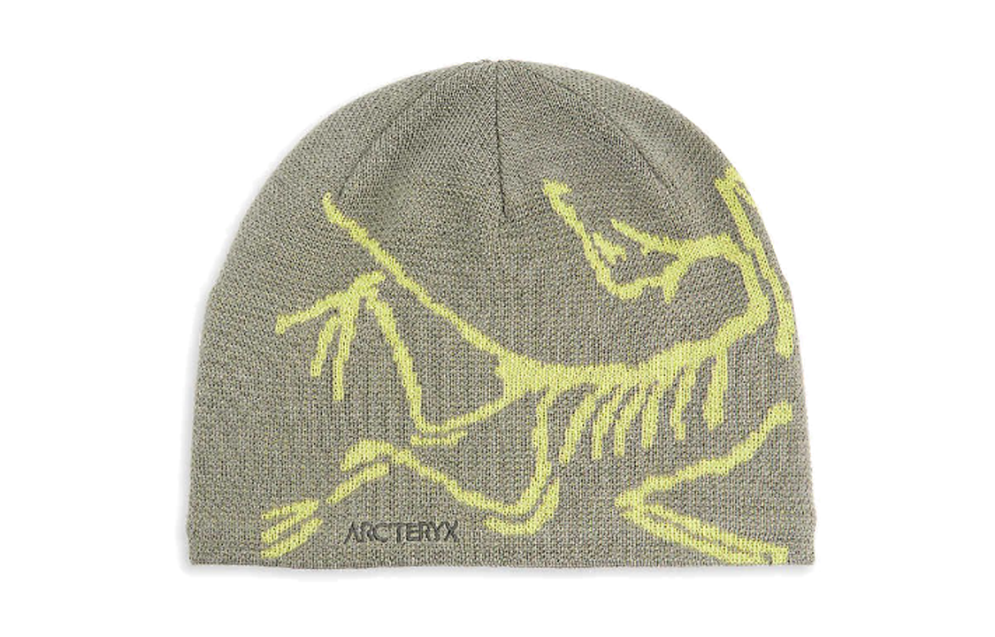 

Arcteryx Шапка-бини из полиэстера унисекс, цвет Forage/Sprint серый