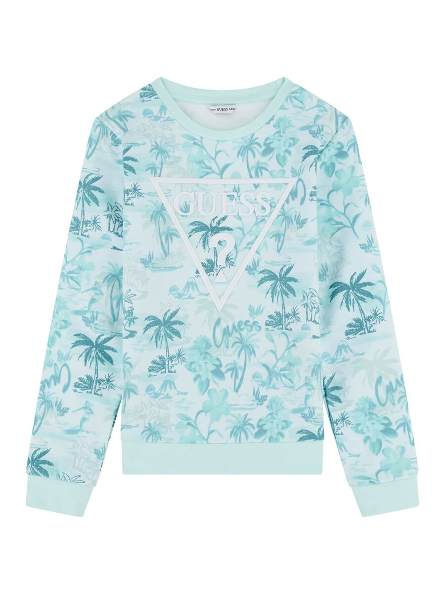 

Толстовка GUESS, цвет Blue/Cyan blue/Light blue