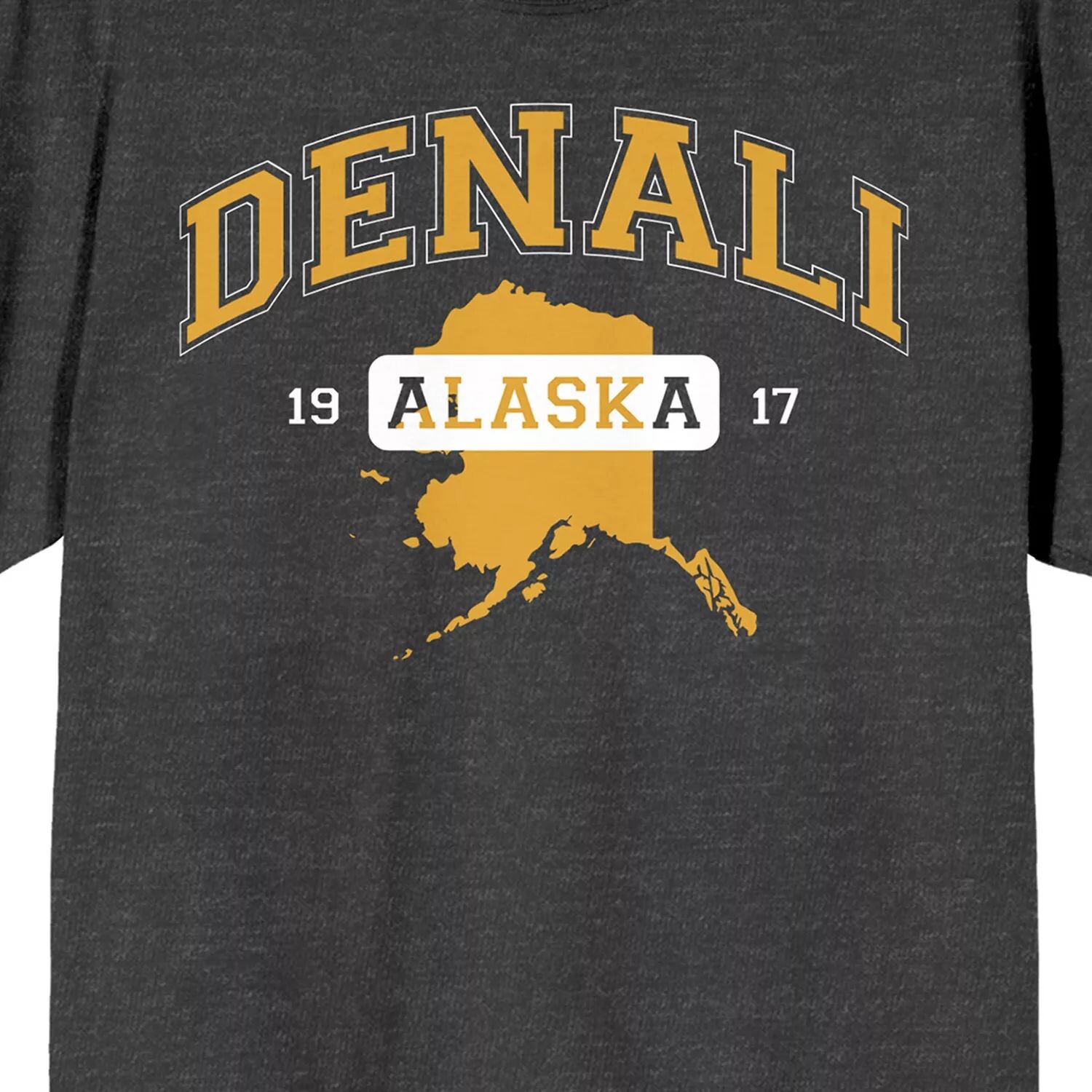 

Мужская футболка с рисунком Elevation 7573 Denali Alaska Licensed Character