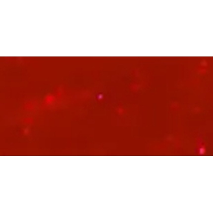 

Гель-лак для ногтей Opi Gelcolor 15 мл
