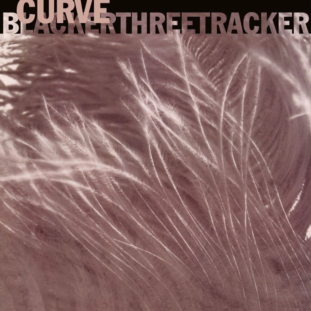 

Виниловая пластинка LP Blackerthreetracker [180 Gram Smoke Colored Vinyl] (12") - Curve