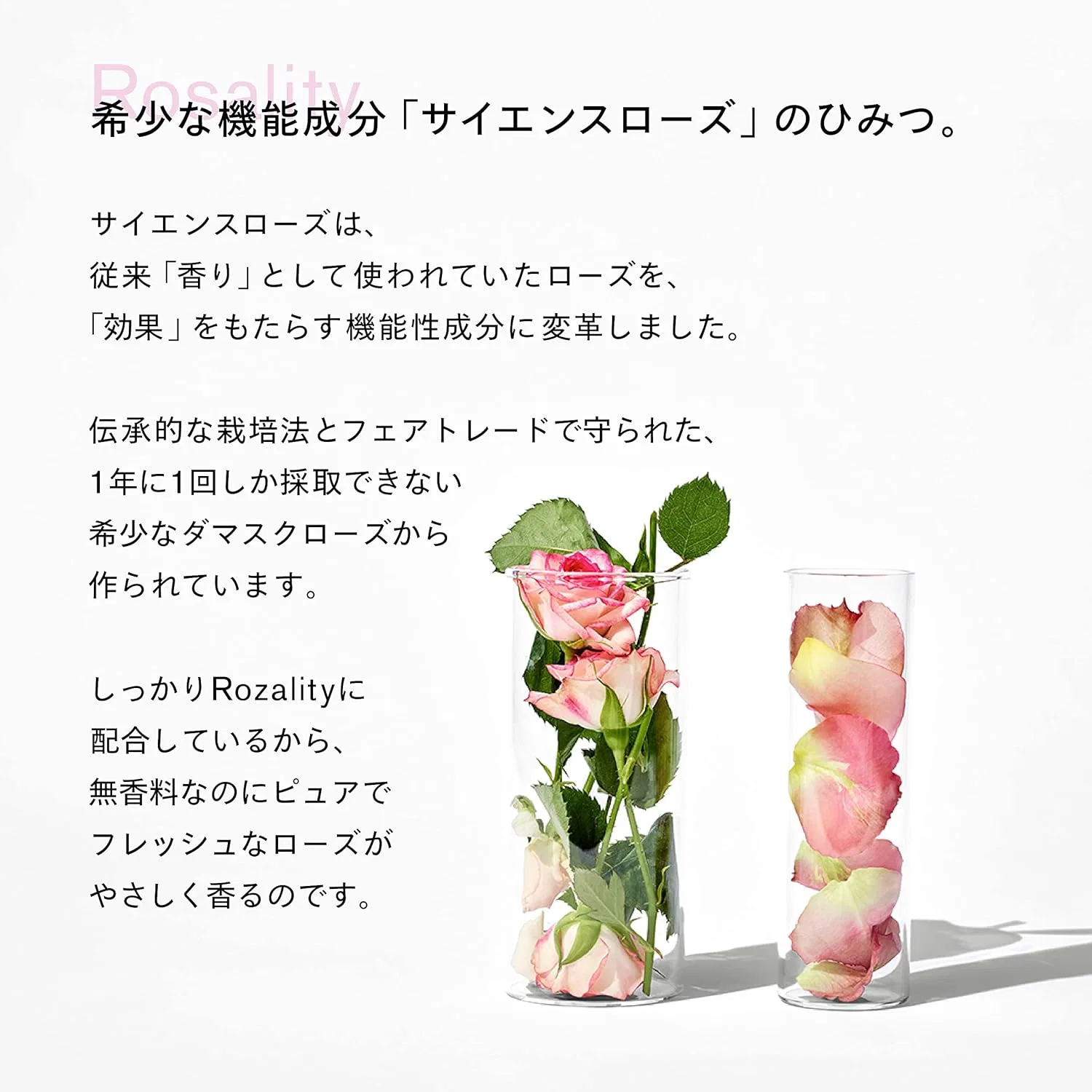 Эмульсия Sisi — Дневной Rosity Face Cream , розовая вода, увлажняющий, 50 г — фото 4