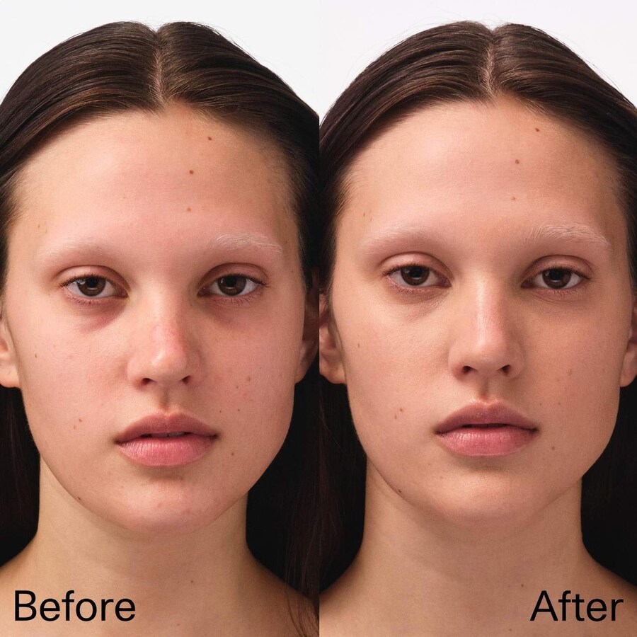Компактная палетка для лица с многоразовым консилером и тональным кремом Essential Face Compact. Fara Homidi, 0.13 oz /3.7 g, Refill Sable — фото 2