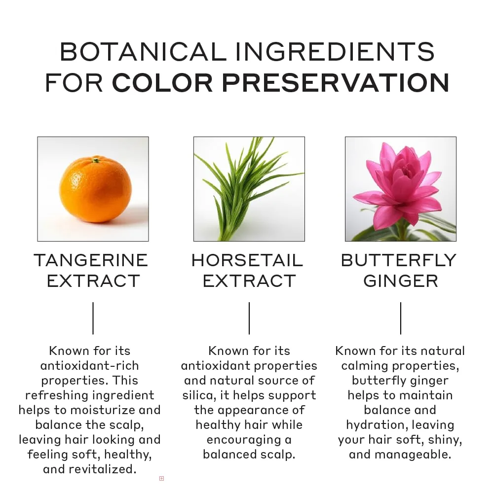 ZENAGEN Eclipse Color Preservation + Gray Support шампунь для усиления цвета волос, уменьшения седины, питания и укрепления стареющих волос, растительный, безопасный для окрашенных волос, для всех типов волос 200 мл (.) — фото 3