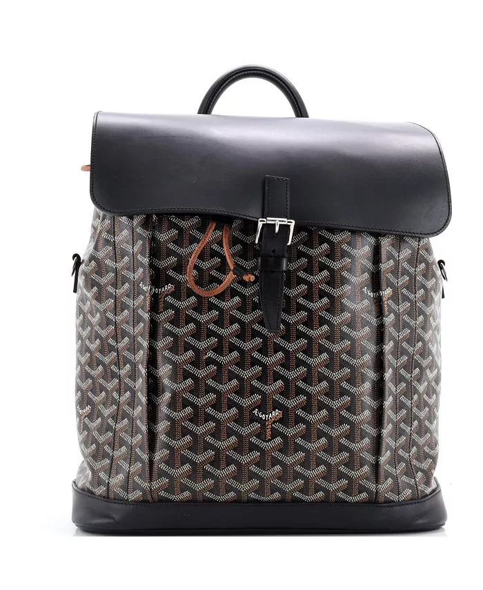 

Рюкзак MM Alpin из прорезиненного холста Pre-Owned Goyard, черный