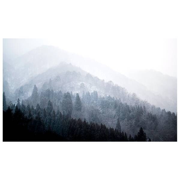 

Картина на холсте LegendArte Bäume im Nebel, серый