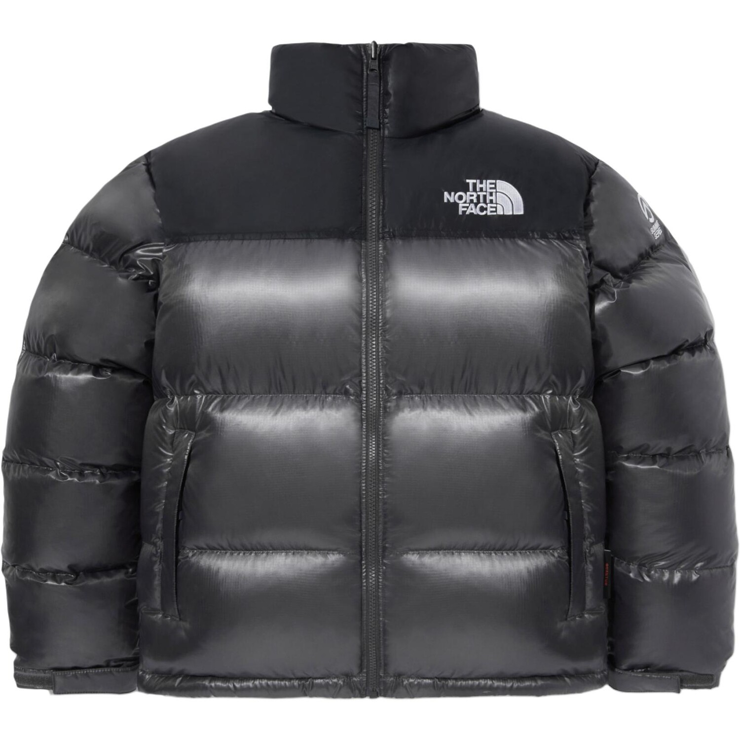

Куртка мужская Apparel Collection Down Jacket Men Silver Gray The North Face