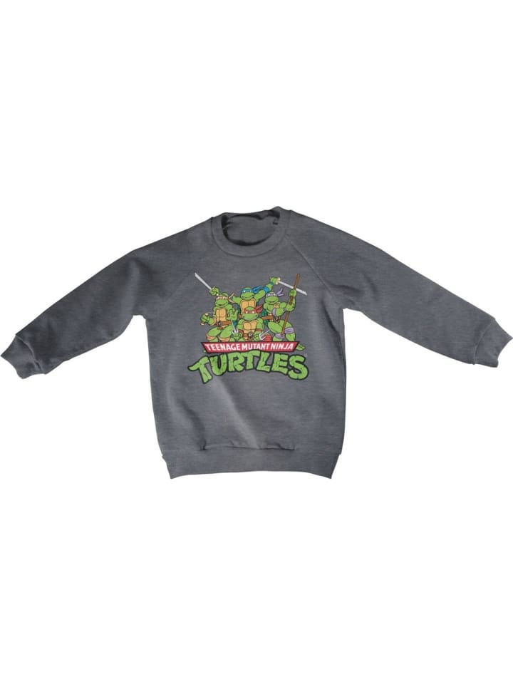 

Толстовка Teenage Mutant Ninja Turtles, серый