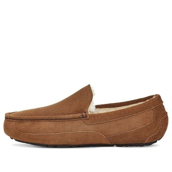 Тапочки повседневные низкие тапочки Ugg, коричневый