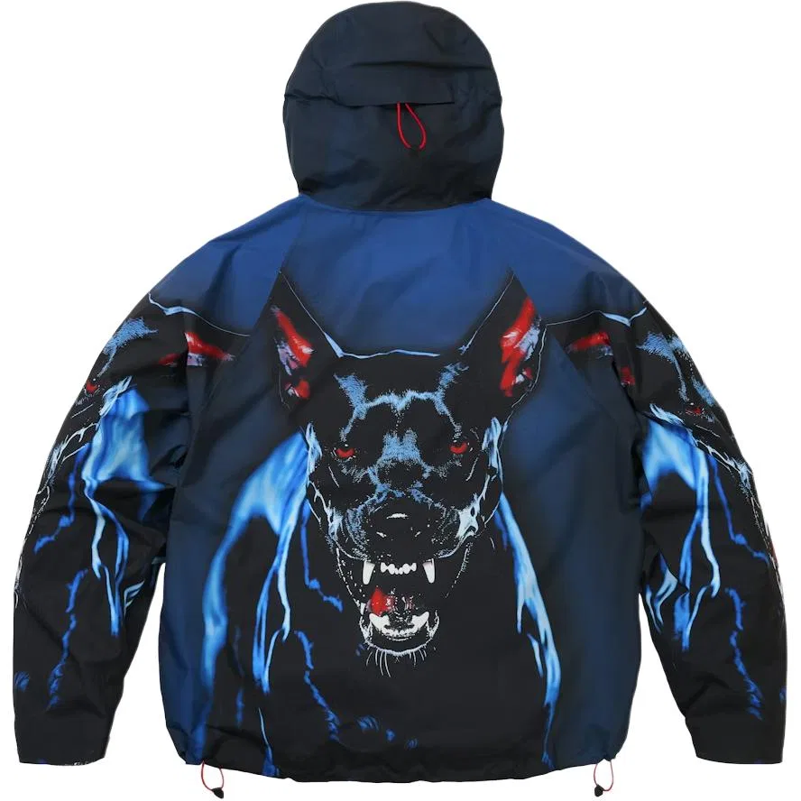 Детская куртка из гортекса с капюшоном PALACE, Blue