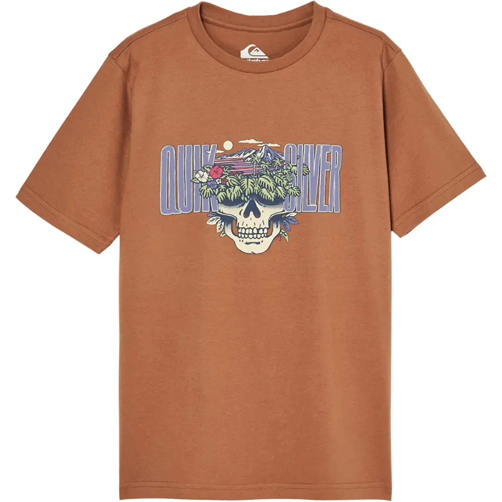 Детская футболка для мальчиков с коротким рукавом Quiksilver Paradise Point, Brown