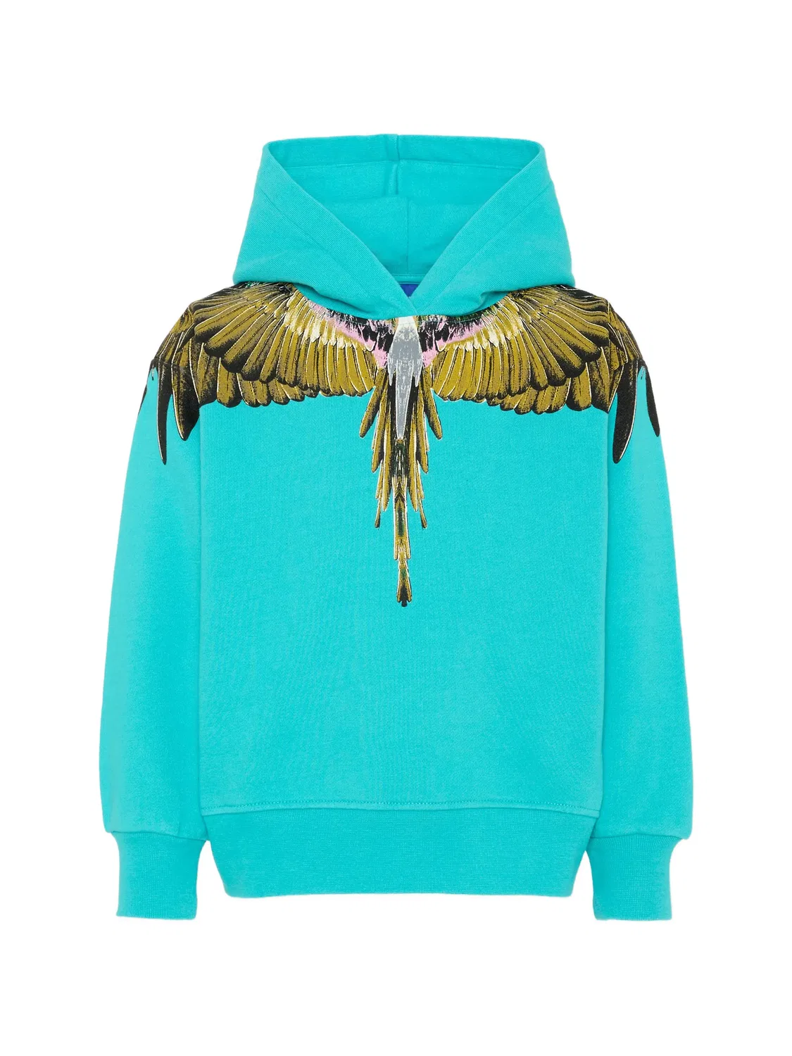 Худи с принтом Wings County Of Milan, синий