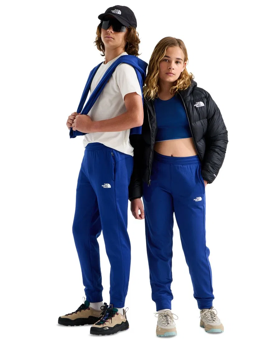 Флисовые джоггеры Performance Fleece Joggers The North Face, Bold Blue — фото 2