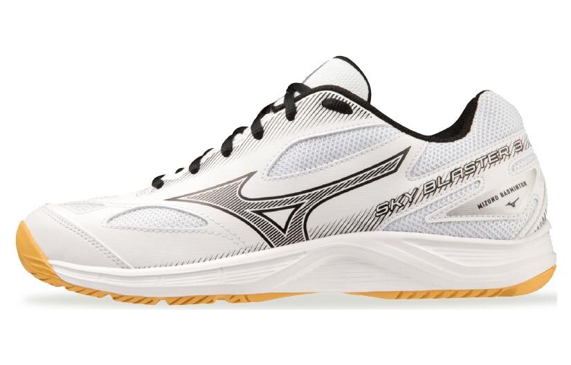 

Кроссовки Mizuno Sky Blaster 3 Wide 'White Black Silver', белый