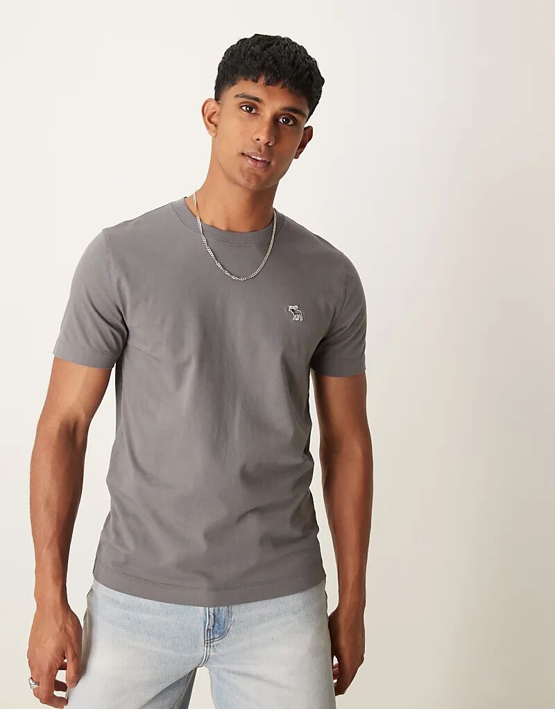 

Футболка с логотипом elevated icon серого цвета Abercrombie & Fitch
