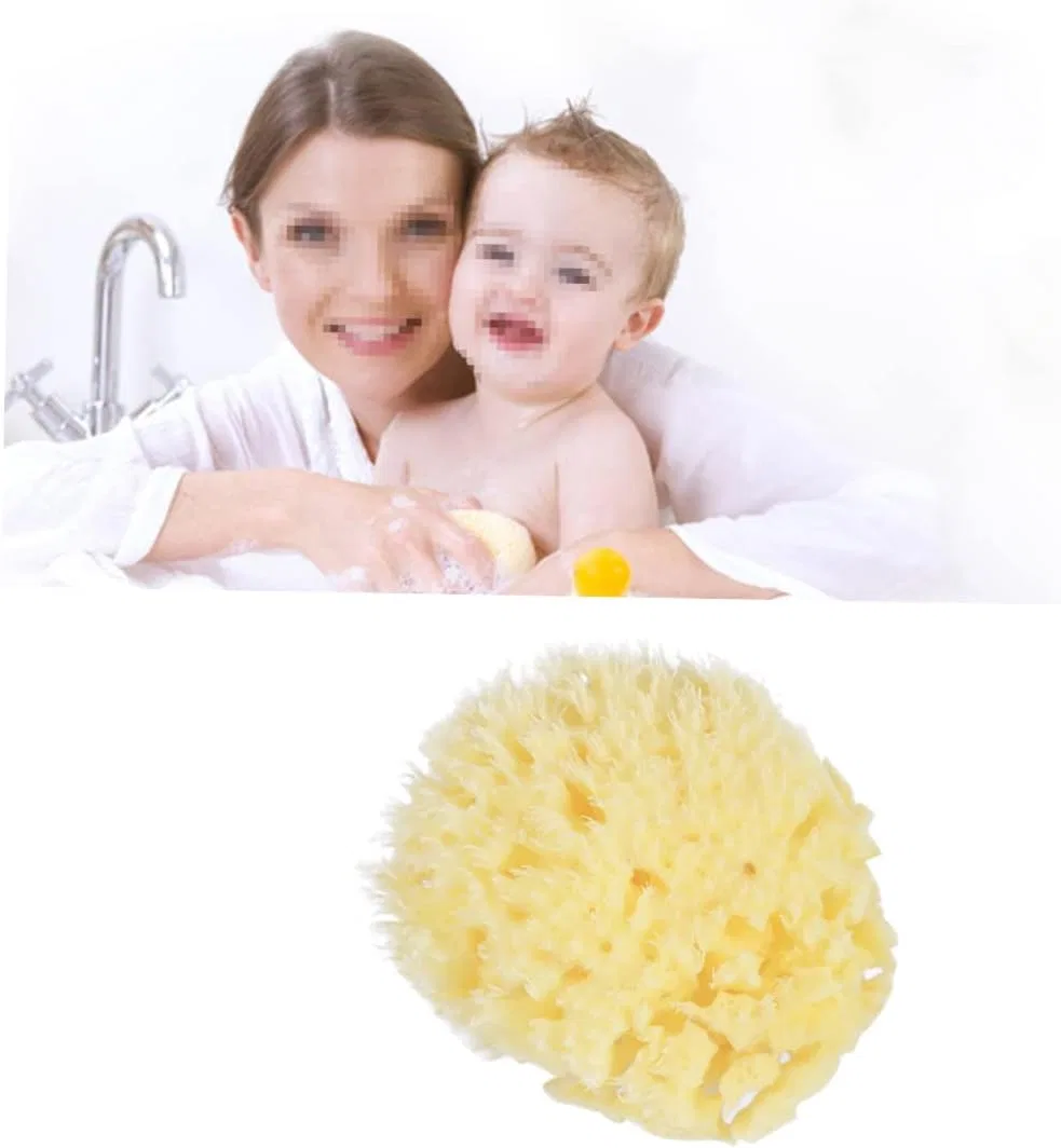 Мочалка из морской губки сотовая, 2 шт, Healeved, 7.6-8.9 см