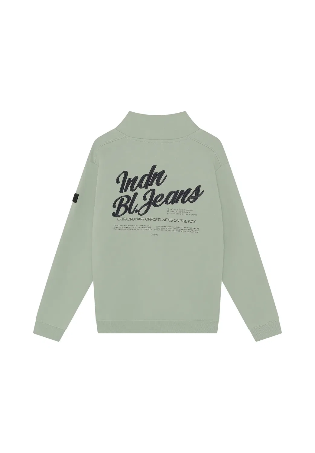 Свитер на молнии Indn с начесом - толстовка Indian Blue Jeans, Dust Green — фото 3