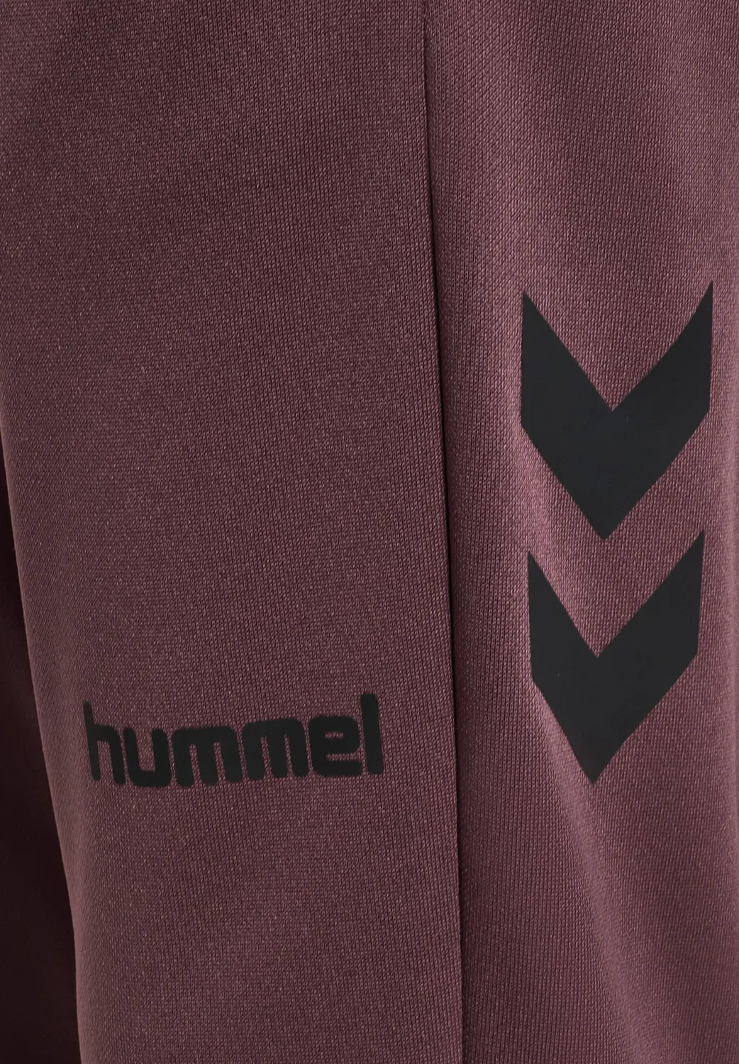 Детские спортивные штаны Hmlblaze club 26 унисекс Hummel, Huckleberry — фото 3