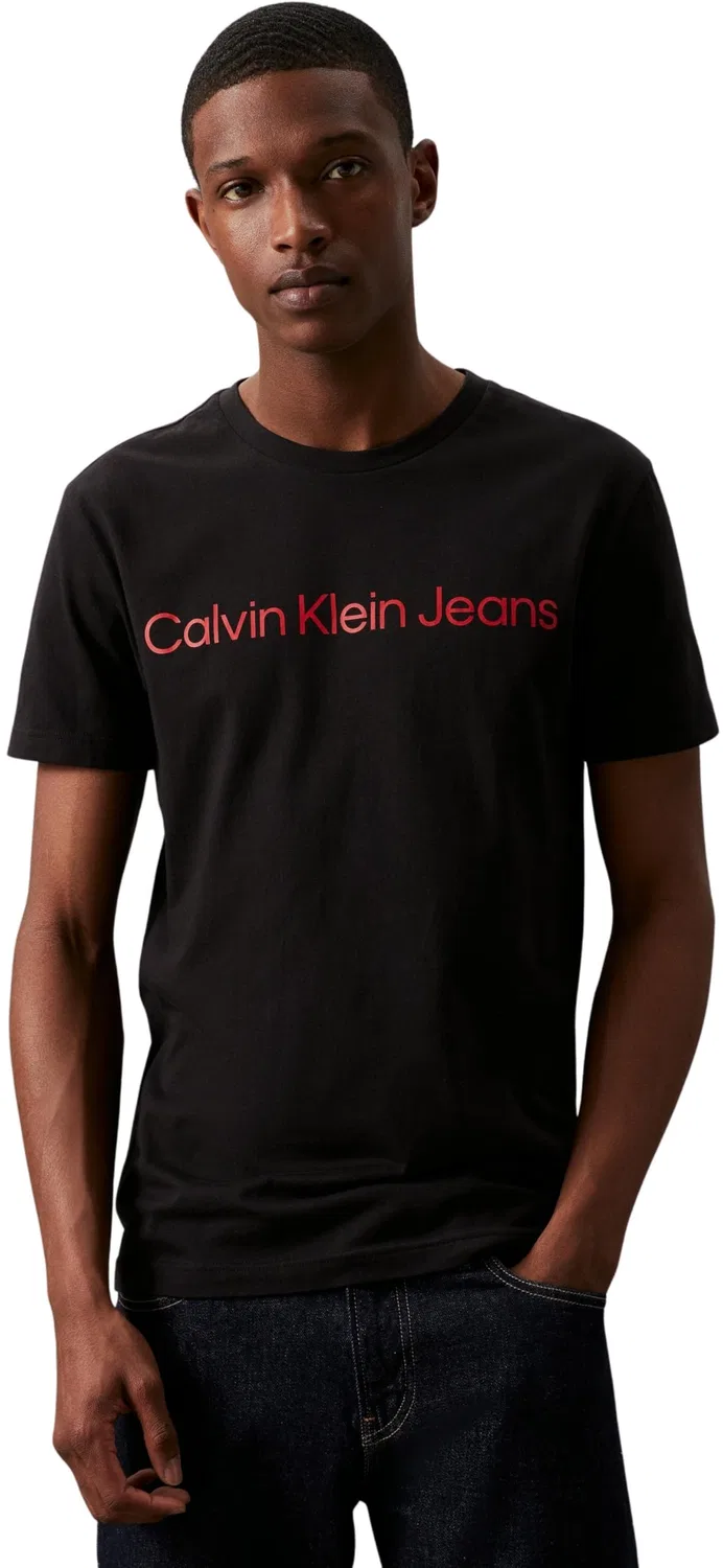 Мужская футболка с коротким рукавом Core Institutional Logo Calvin Klein, Black (Ck Black / Salsa)
