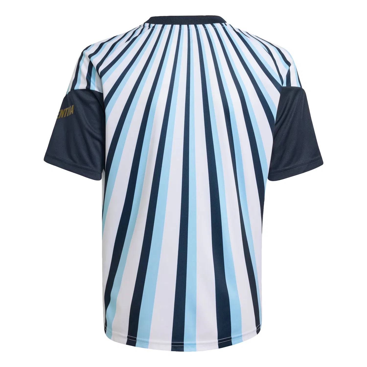 Футболка Adidas Performance Shirt Argentinien 26 Pre-Match в темно-синем и светло-голубом цветах — фото 3