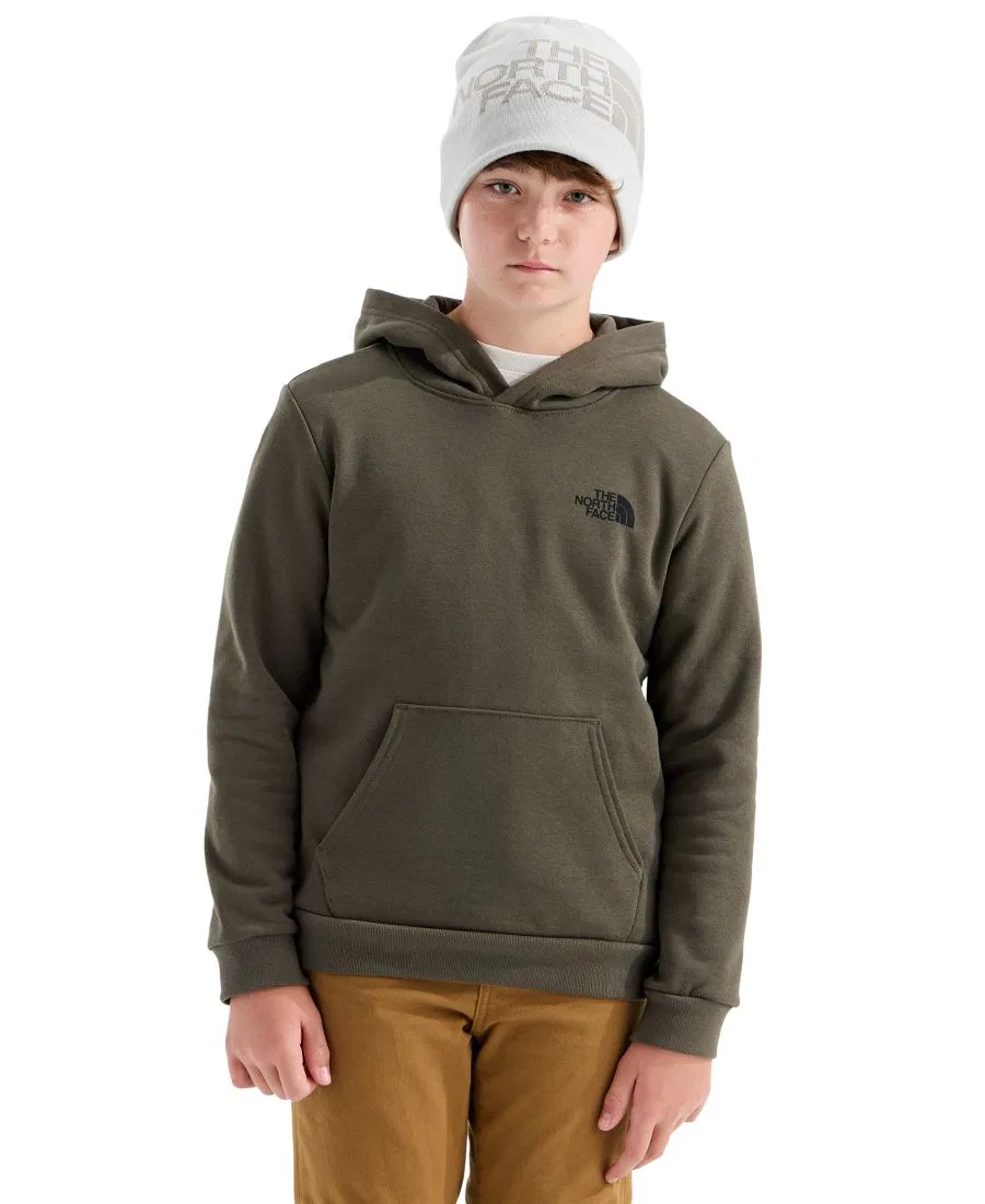 Худи с капюшоном с длинным рукавом The North Face, New Taupe Green
