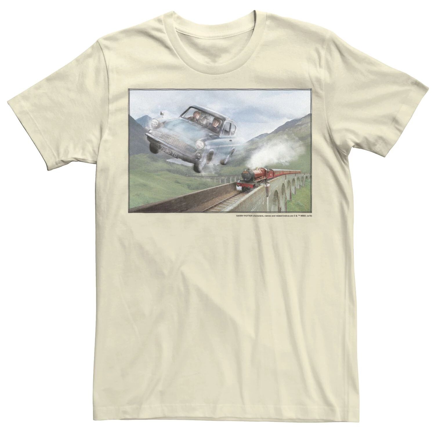

Мужская футболка Harry Potter Racing The Train Licensed Character