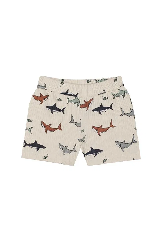 Детские шорты для мальчиков с принтом Organic beige shark patterned baby boy shorts with elastic waist Antebies, Beige