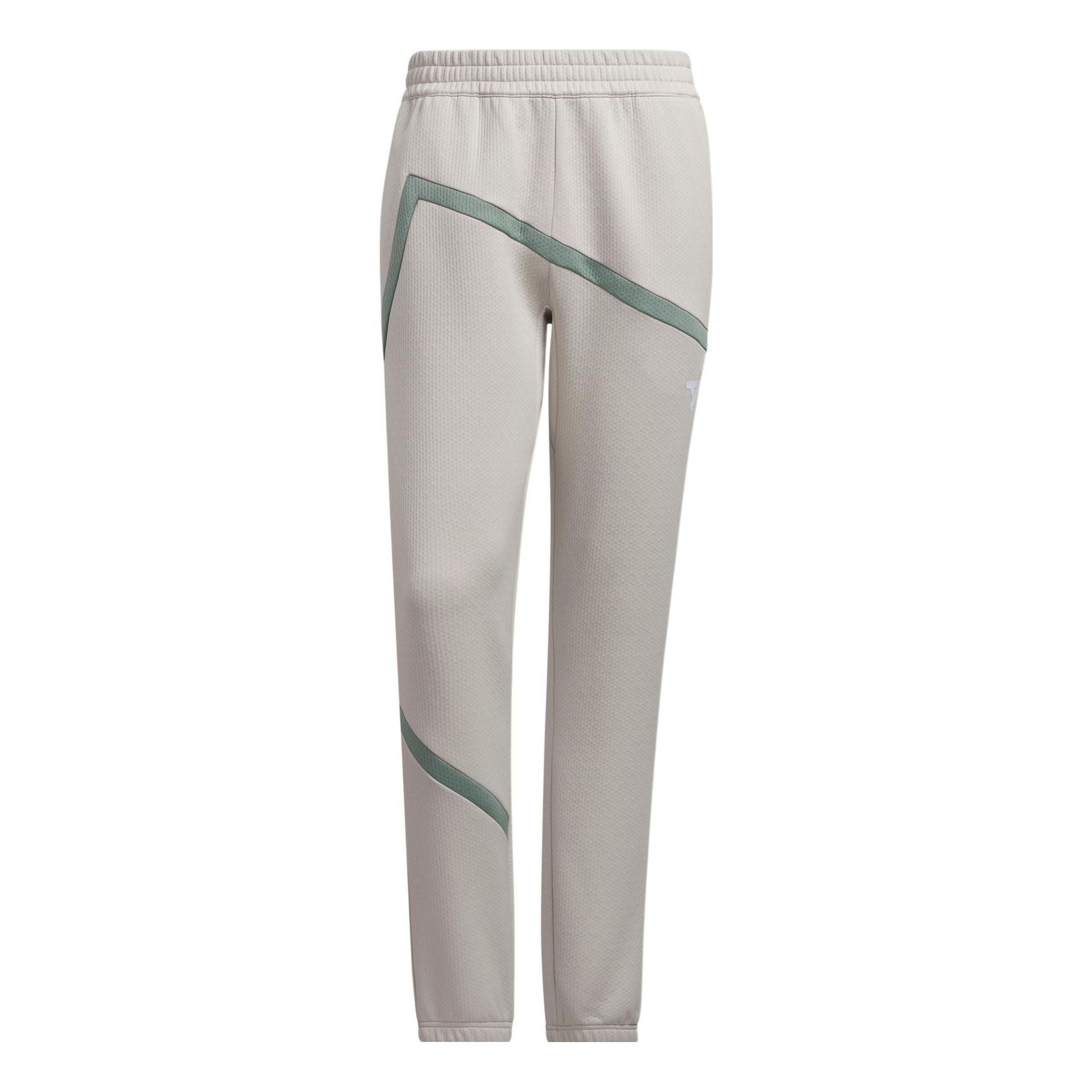

Спортивные брюки adidas Originals Pants IL6490