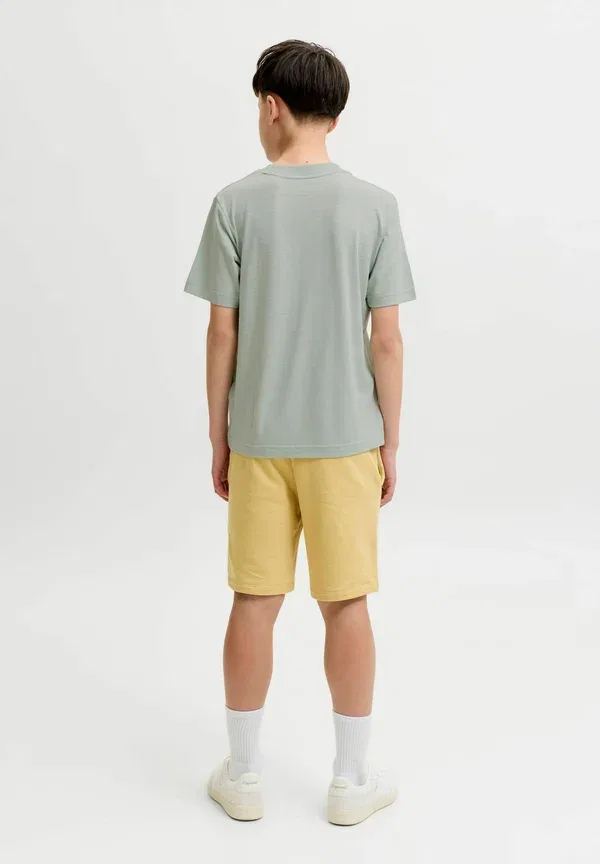 Набор из 3 футболок, детские футболки с принтом Jack & Jones Junior — фото 3