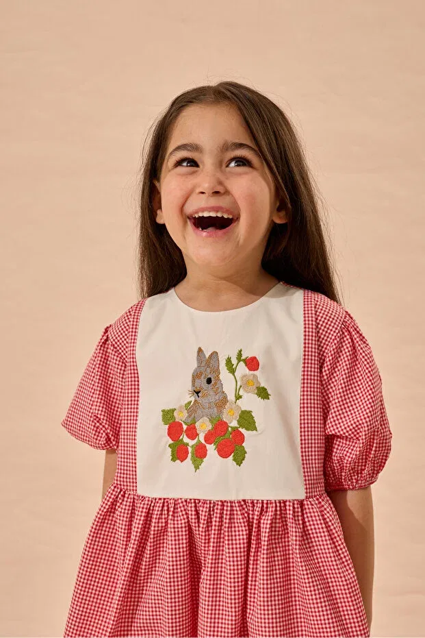 Детское платье для девочек с коротким рукавом Rabbit Embroidered Gingham Dress Fahhar Kids, Red — фото 3