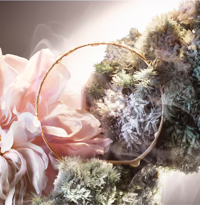 Парфюмерная вода Lancôme Absolue Les Parfums Not Your Rose — фото 4