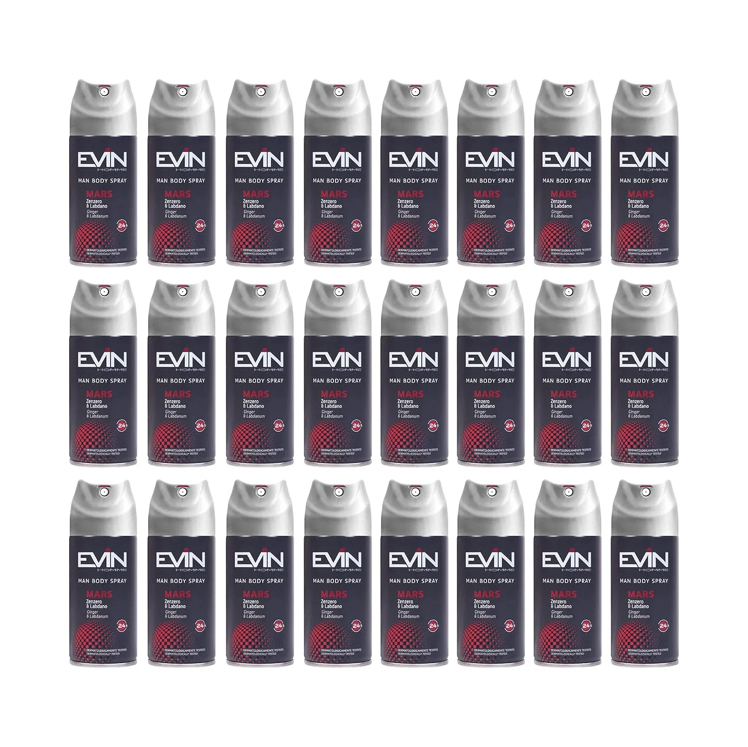 Дезодорант-антиперспирант для мужчин EVIN Homme 24H, 24 шт по 150 мл, Ginger and Labdan