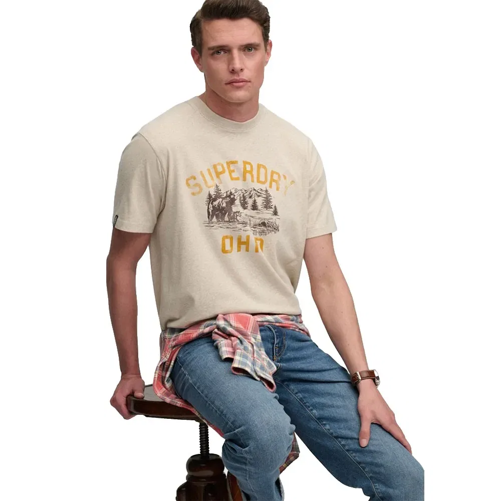 Мужская футболка свободного кроя Wild Frontier Superdry, Beige — фото 4