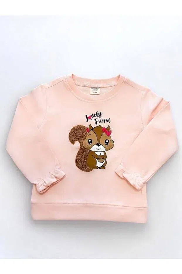 Детские свитшот для девочек с принтом Squirrel Embroidered Zekids, Powder