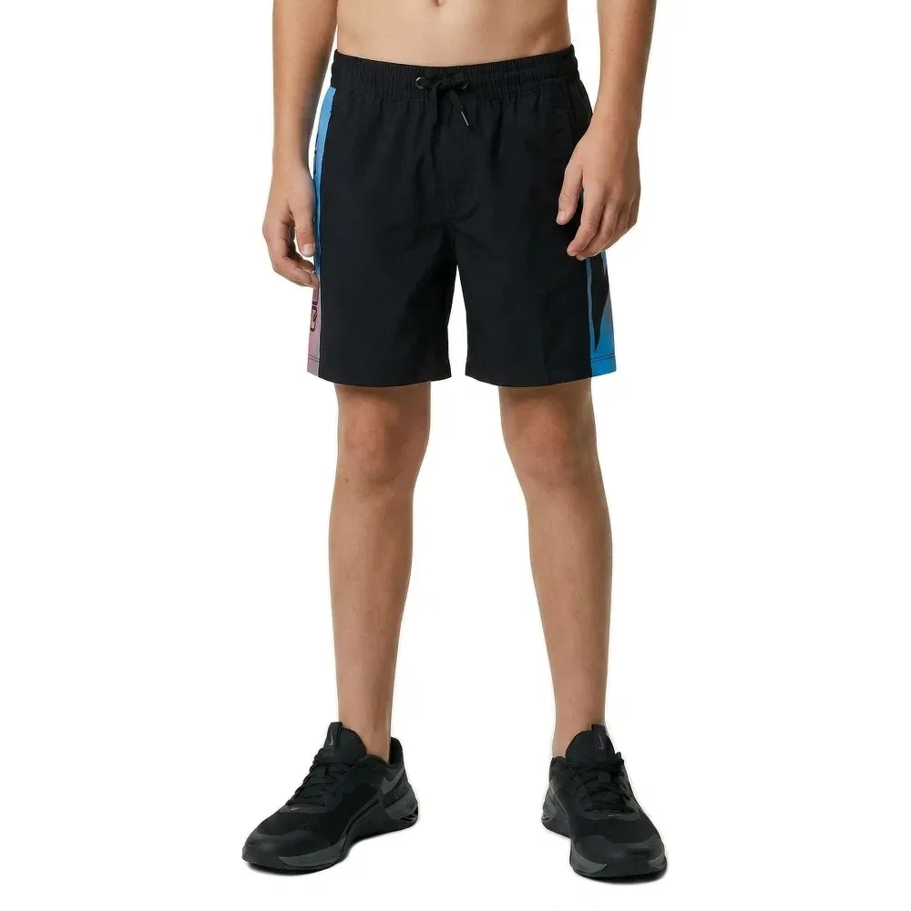 Детские плавки для мальчиков с водоотталкивающей пропиткой Everyday Holmes Volley Quiksilver, Black