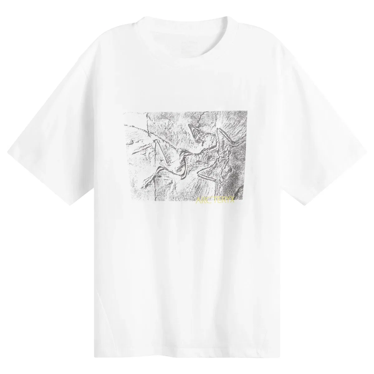 Футболка хлопковая с принтом Kragg Lithographica Arcteryx, White Light