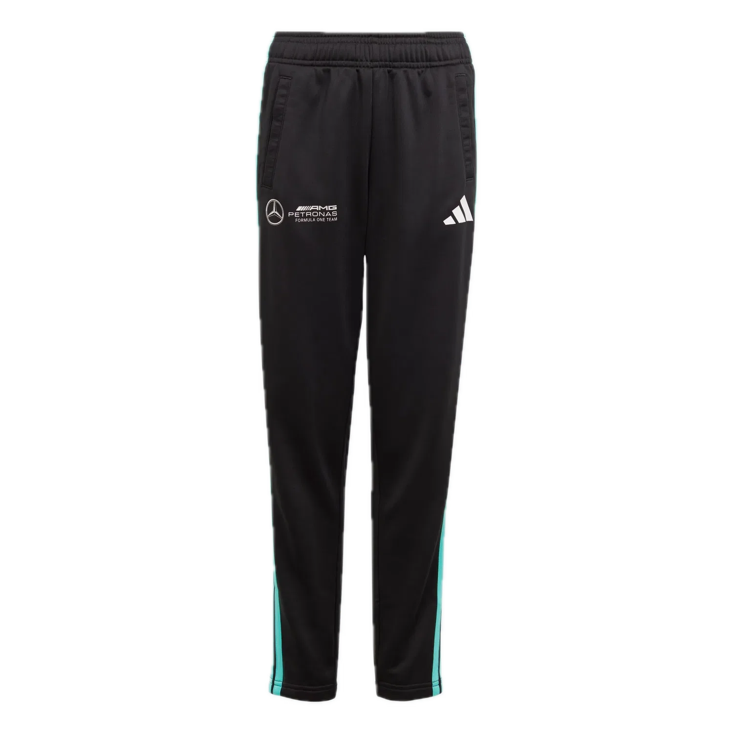 Унисекс штаны Formula One Team DNA Adidas, черный