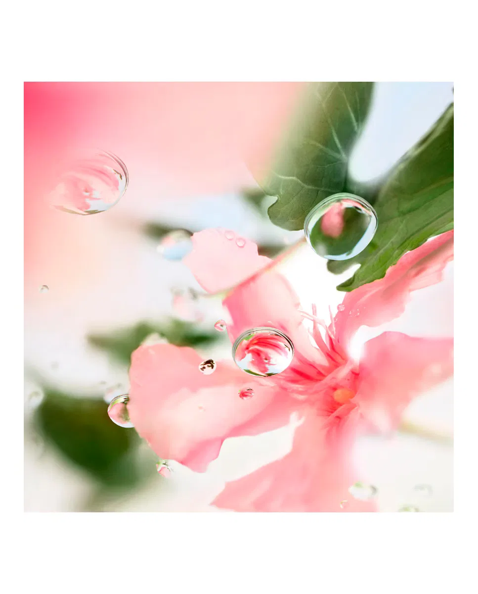 Туалетная вода, 100 мл, Ôver, Lancôme — фото 4