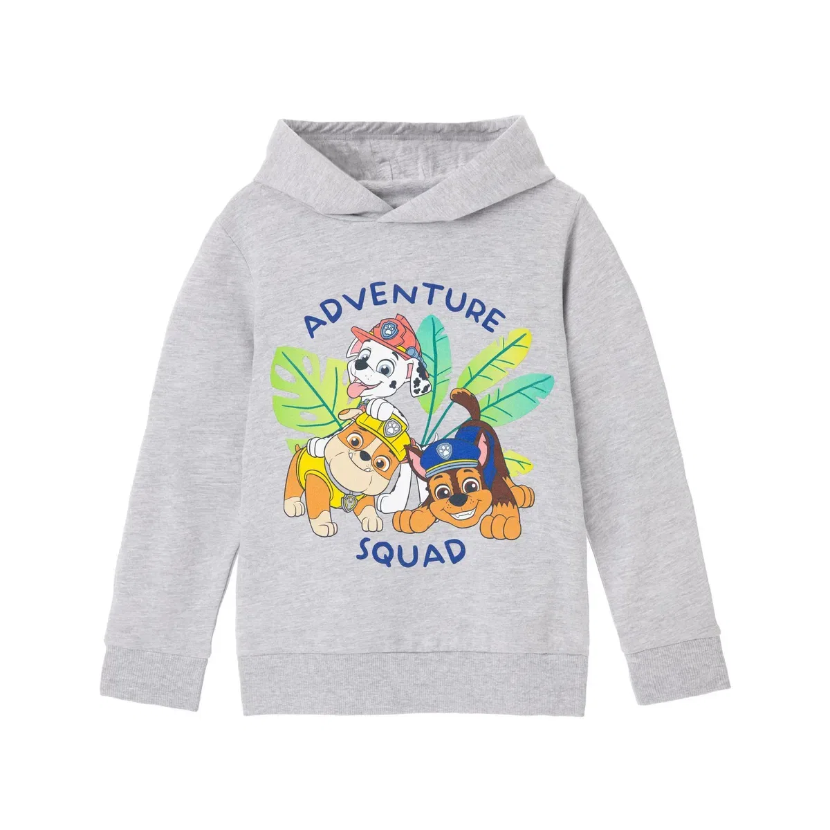 Детское худи для мальчиков Adventure Squad Paw Patrol, Grey