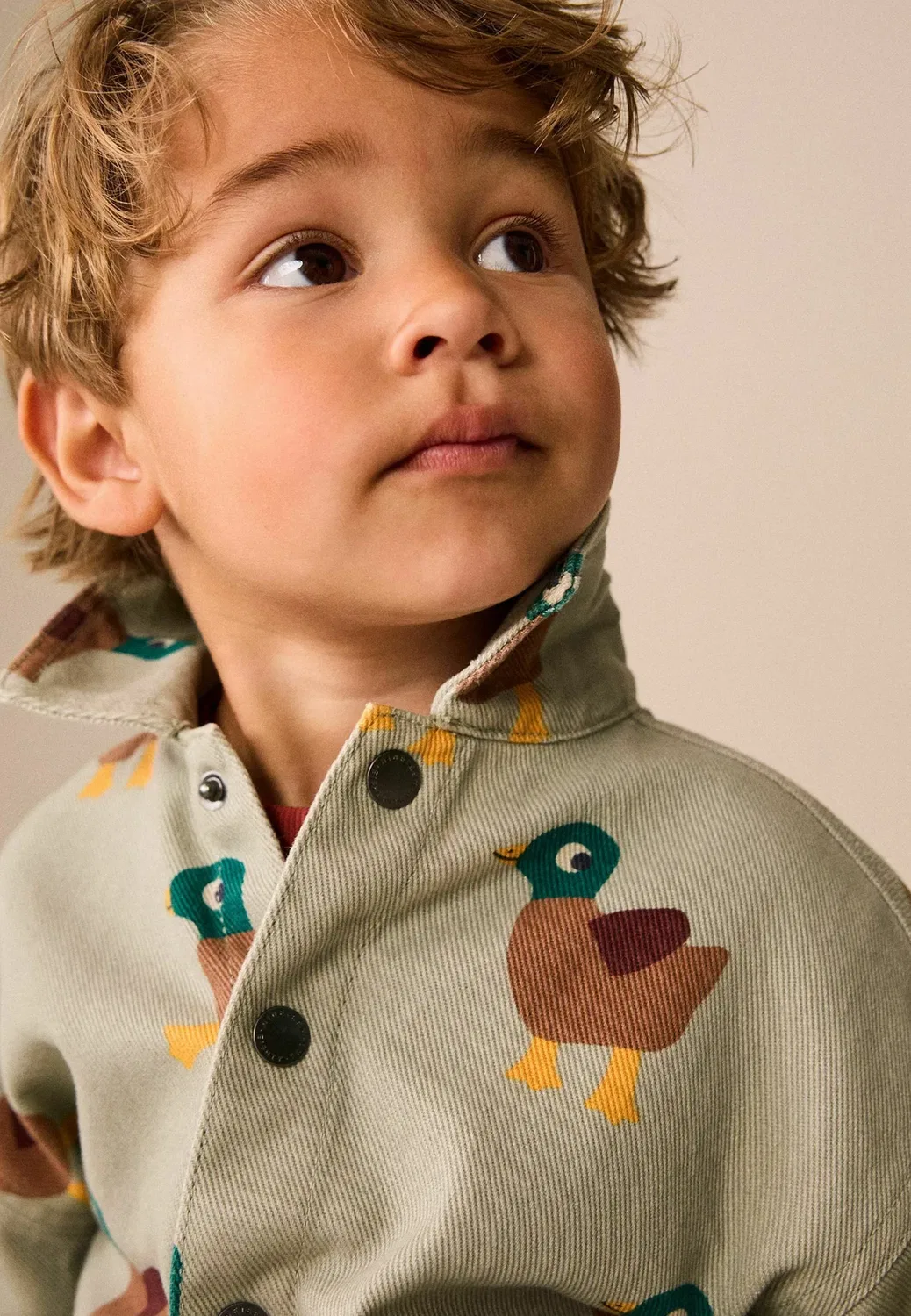 Рубашка-Куртка из саржи с принтом, прямого кроя Next, Sage Green All Over Print Duck — фото 4