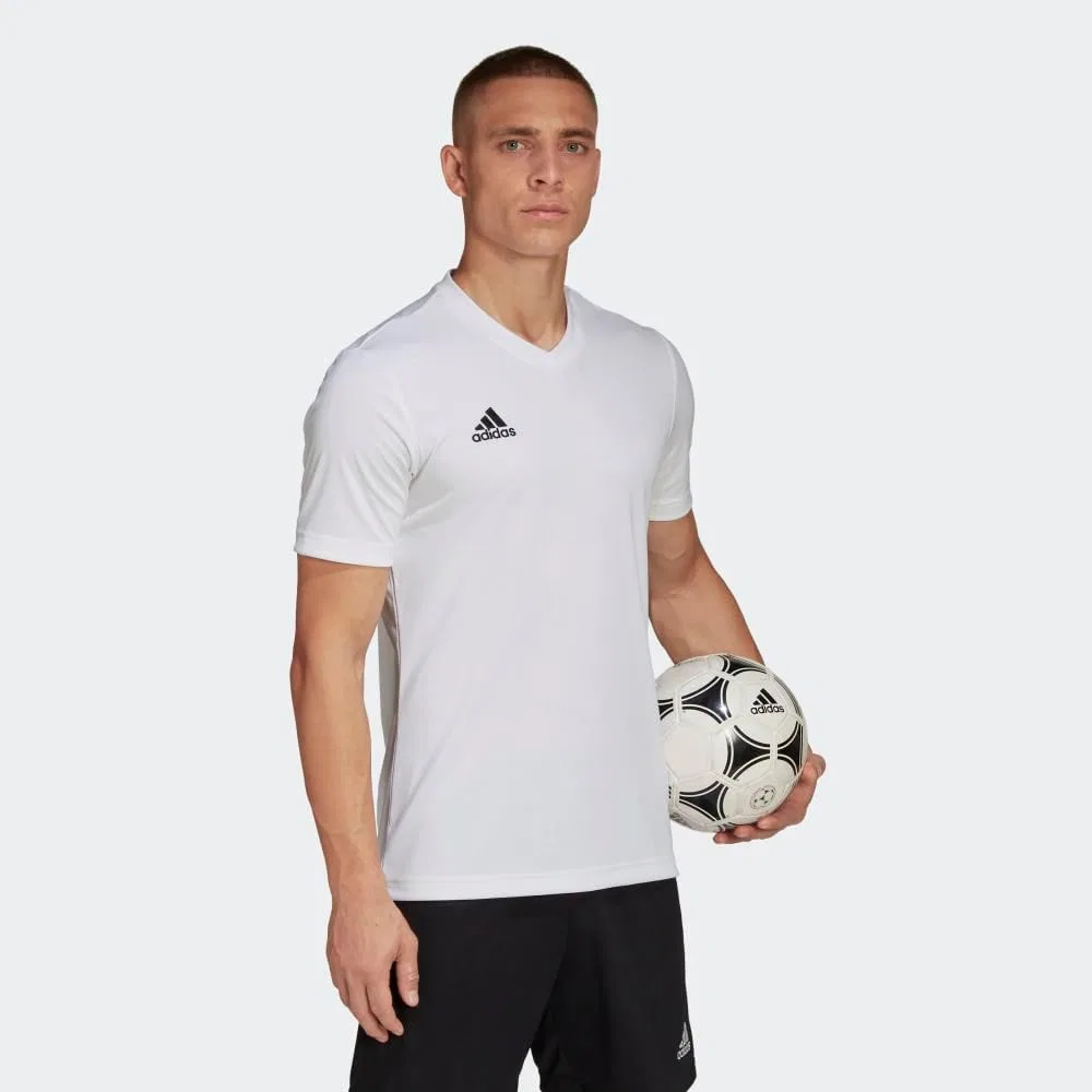 Мужская футболка с V-образным вырезом Entrada 22 Jersey adidas, White — фото 4